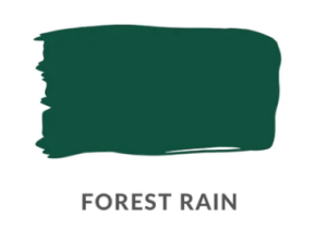 Forest Rain Clay and Chalk Paint 6 oz