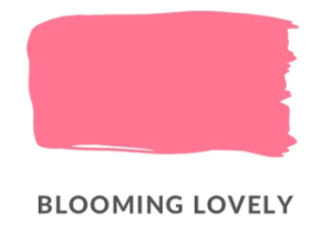 Blooming Lovely Clay and Chalk Paint by Daydream Apothecary